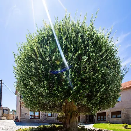 아파트호텔 Apartamentos Eira Do Mar Sanxenxo Aios